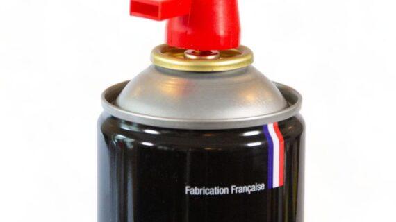 Maison Aurouze Aérosol guêpes frelons Digrain 750ml embout