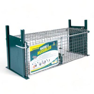 Ratière grillagé 2 entrées