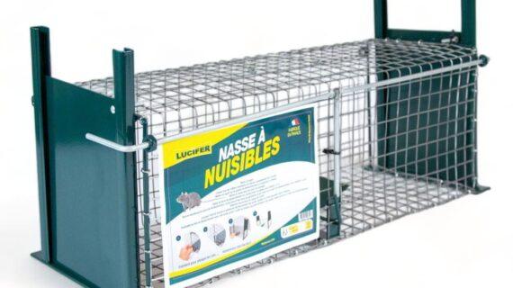 Ratière grillagé 2 entrées