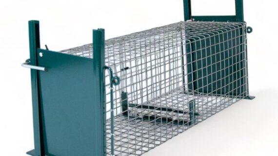 Ratière grillagé 2 entrées