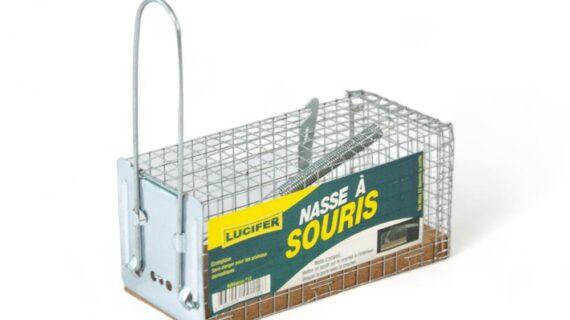 Maison Aurouze Nasse à souris simple entrée fermée Lucifer