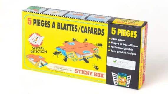 Maison Aurouze Piège cafards blattes Sticky Box