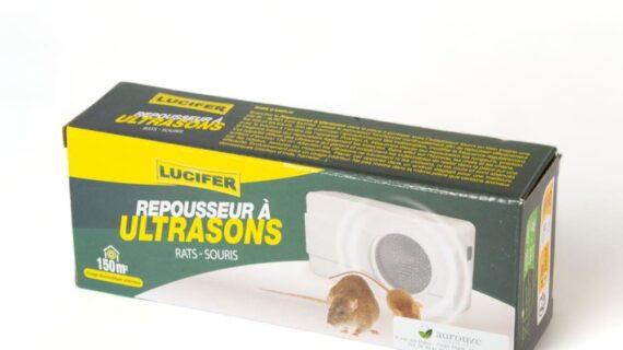 Maison Aurouze Repousseur à ultrasons pile et secteur