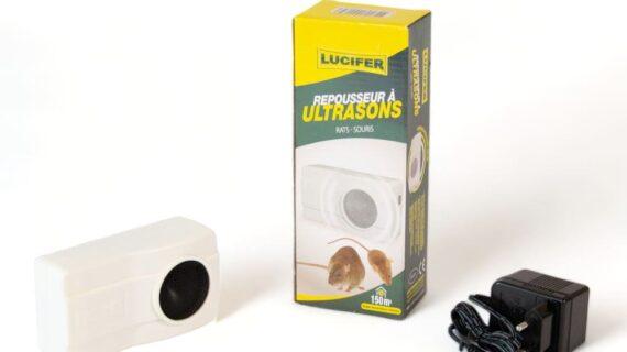 Maison Aurouze Repousseur à ultrasons pile et secteur pack