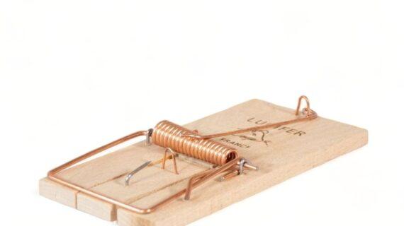 Maison Aurouze Tapette anti rongeurs en bois Lucifer fermée