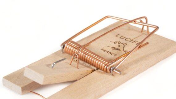 Maison Aurouze Tapette anti rongeurs en bois Lucifer ouverte