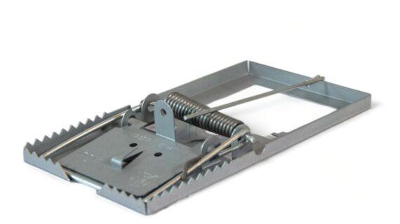 Maison Aurouze Tapette-anti-rongeurs-en-fer fermée