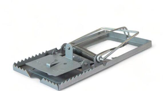 Maison Aurouze Tapette-anti-rongeurs-en-fer ouverte