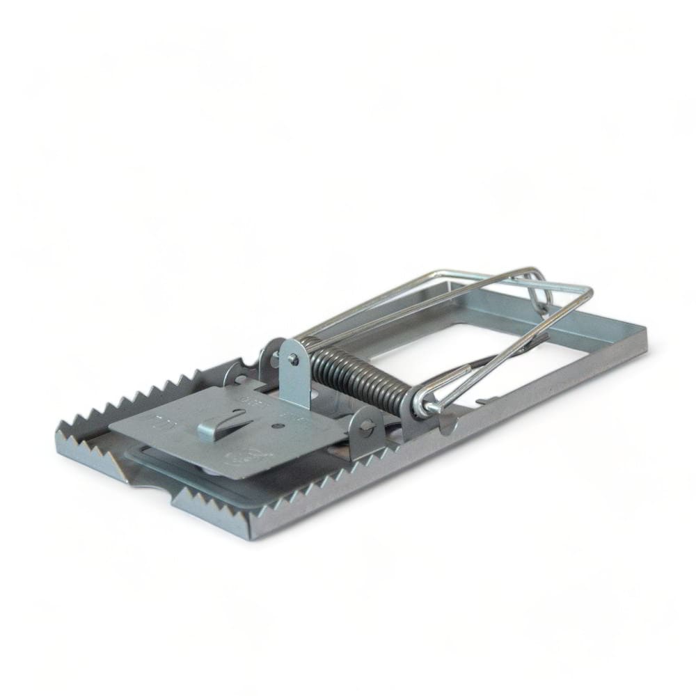 Maison Aurouze Tapette-anti-rongeurs-en-fer ouverte