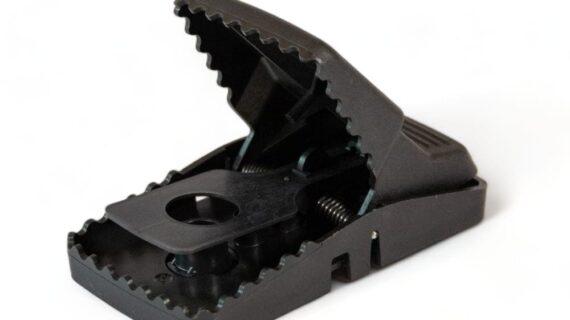 Maison Aurouze Tapette-plastique-Trapper-T-Rex ouverte