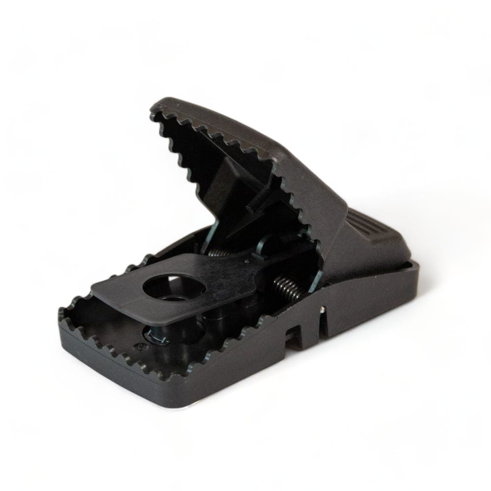 Maison Aurouze Tapette-plastique-Trapper-T-Rex ouverte