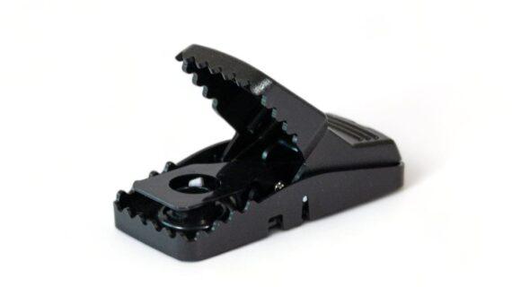 Maison Aurouze Tapette-plastique-Trapper-mini-Rex ouverte