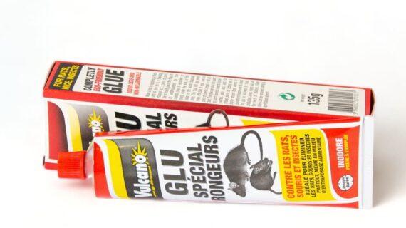 Vulcano colle pour rongeur tube et boite