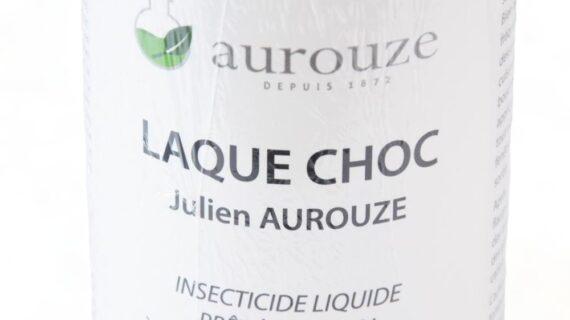Maison Aurouze laque Julien Aurouze zoom