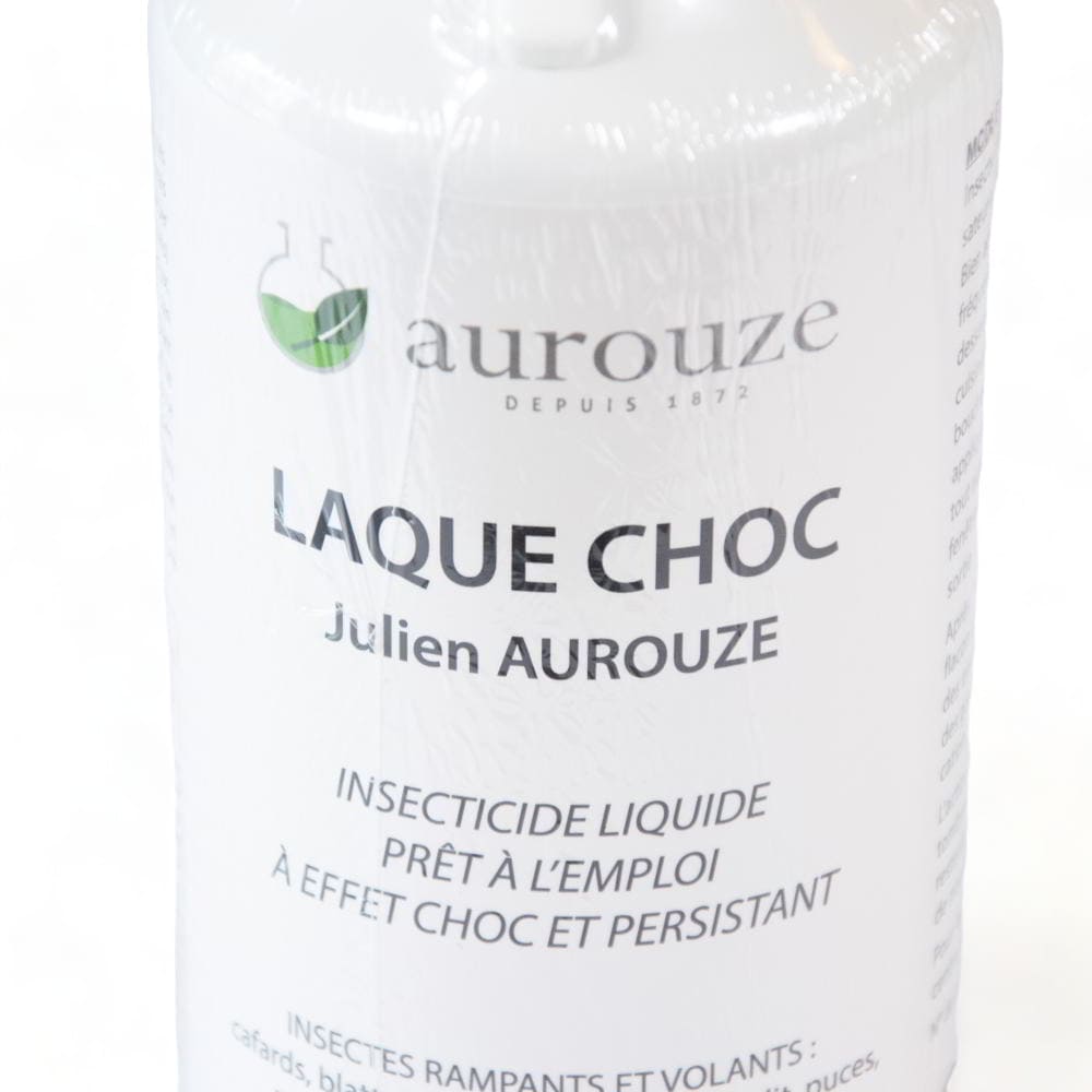 Maison Aurouze laque Julien Aurouze zoom