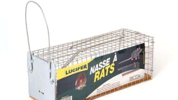 Maison aurouze - Nasse a rats Lucifer
