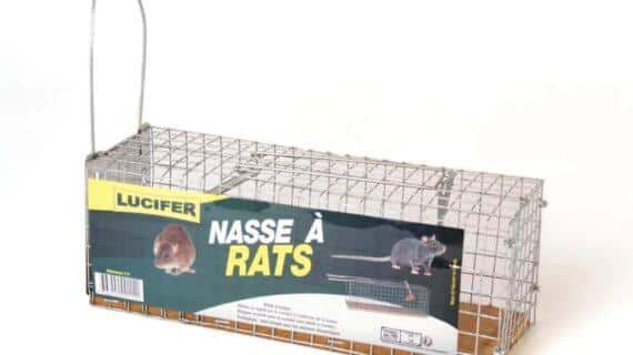Maison aurouze - Nasse a rats Lucifer