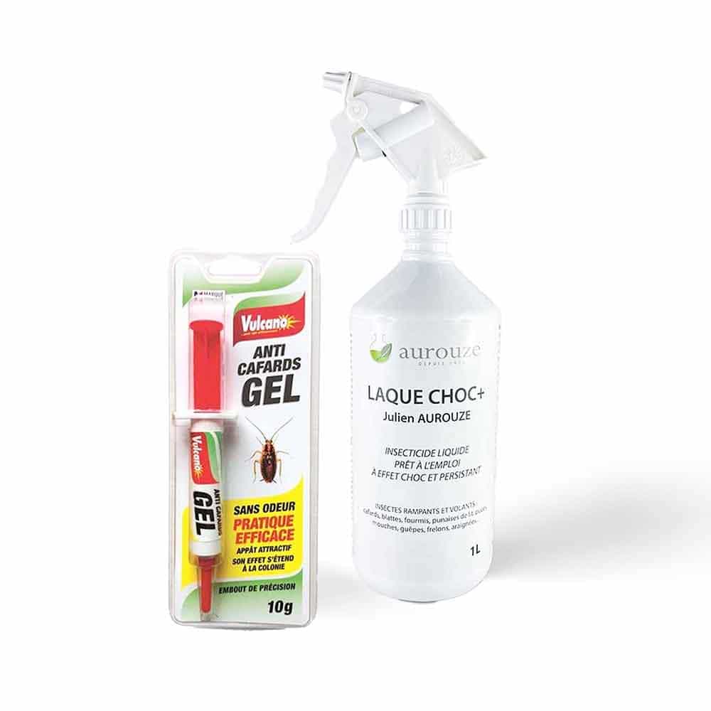 Kit anti cafards et blattes