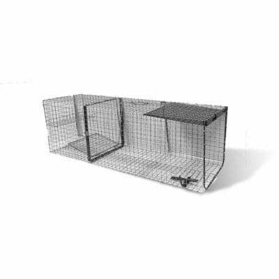 Piège à ragondin ouvert