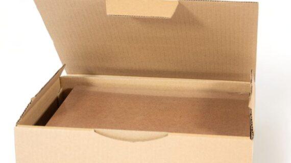 Intérieur boite de Plaques Glurabois anti rongeurs Aurouze