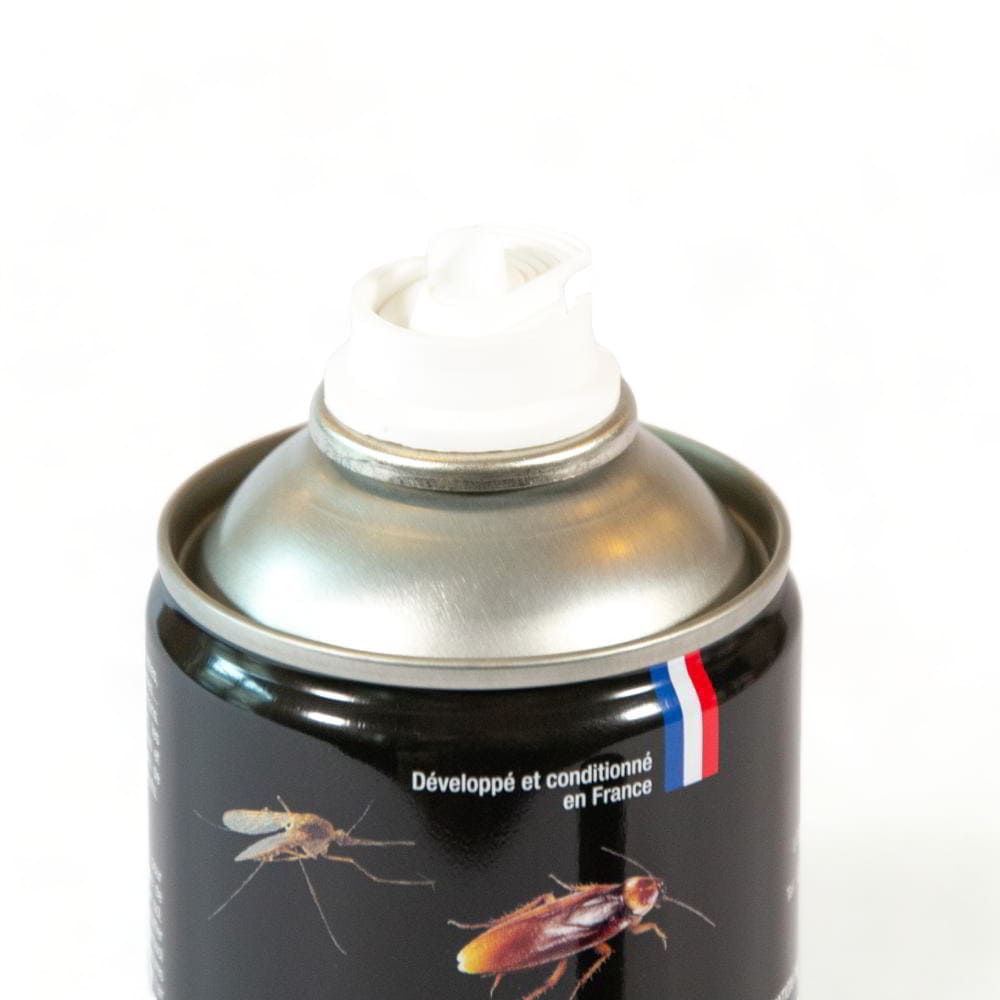 Maison Aurouze Aérosol Choc instantané Digrain 400ml embout