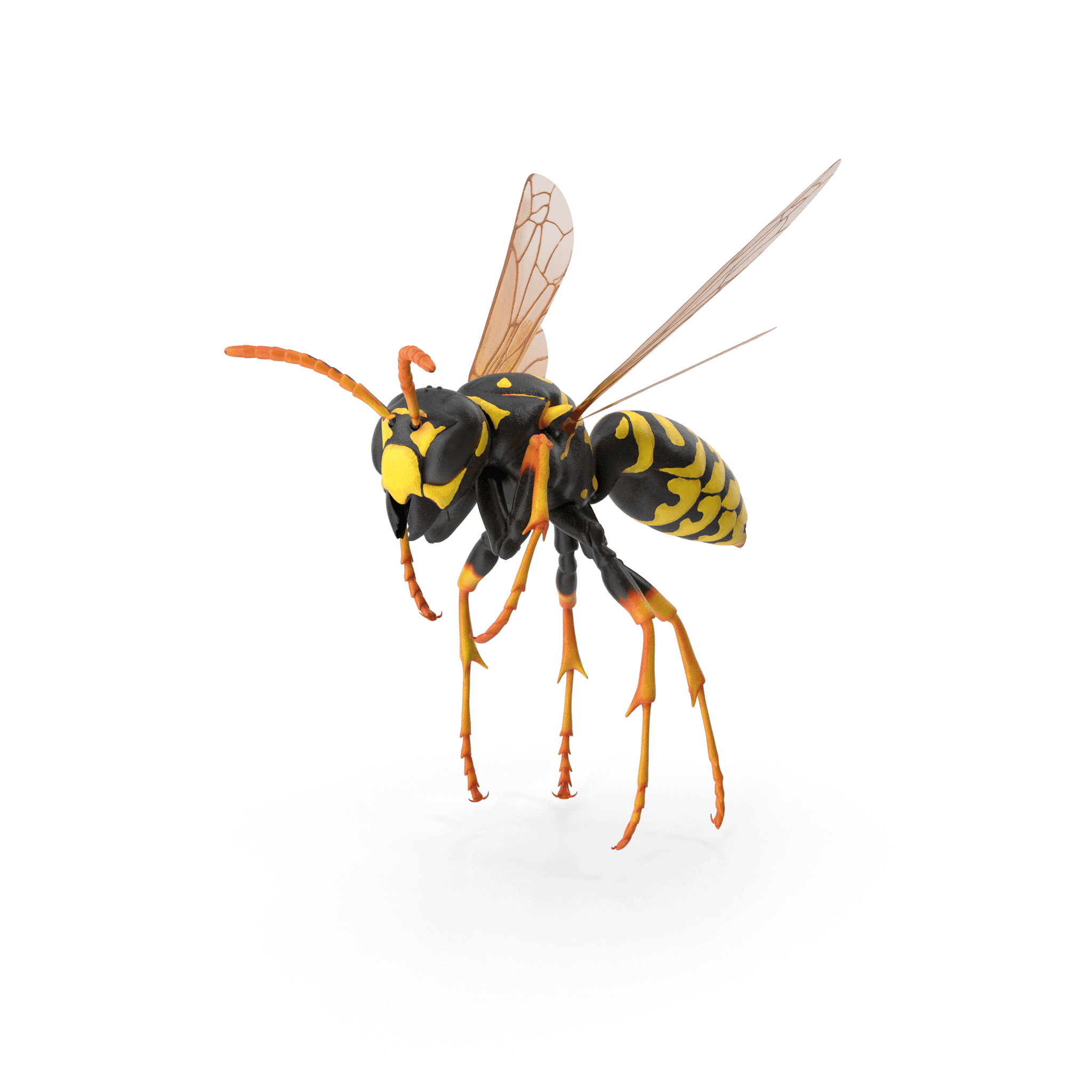 Comment se débarrasser d’un nid de guêpes ?