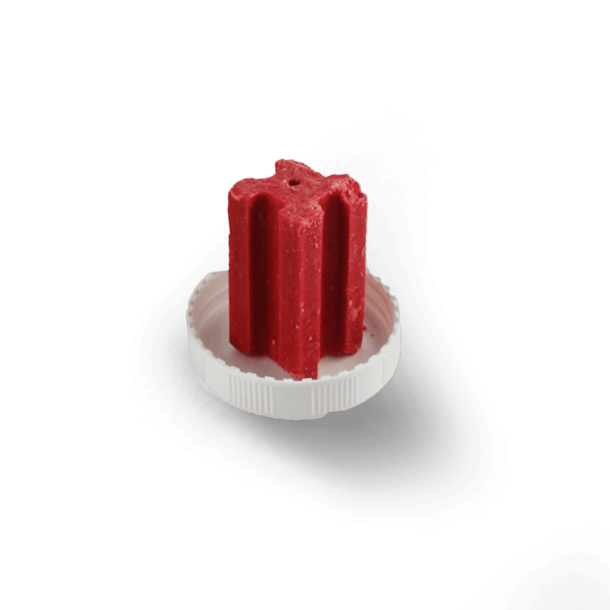 Se débarrasser des rats avec des bloc raticide