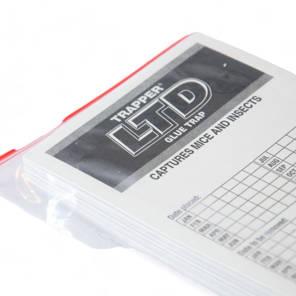 Maison Aurouze Plaque de glu Trapper LTD plaque