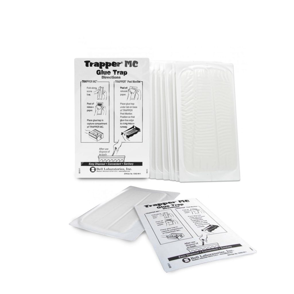 Plaques de glue LTD x10