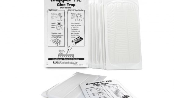 Plaques de glue LTD x10