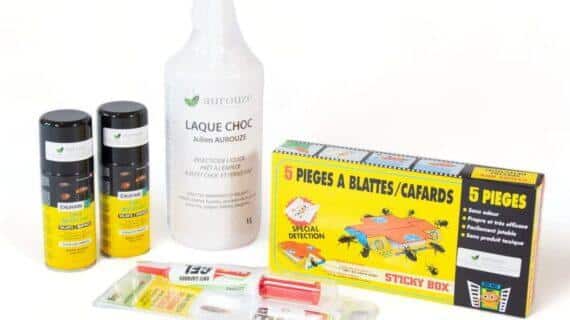 Maison Aurouze Kit anti cafards et blattes double action