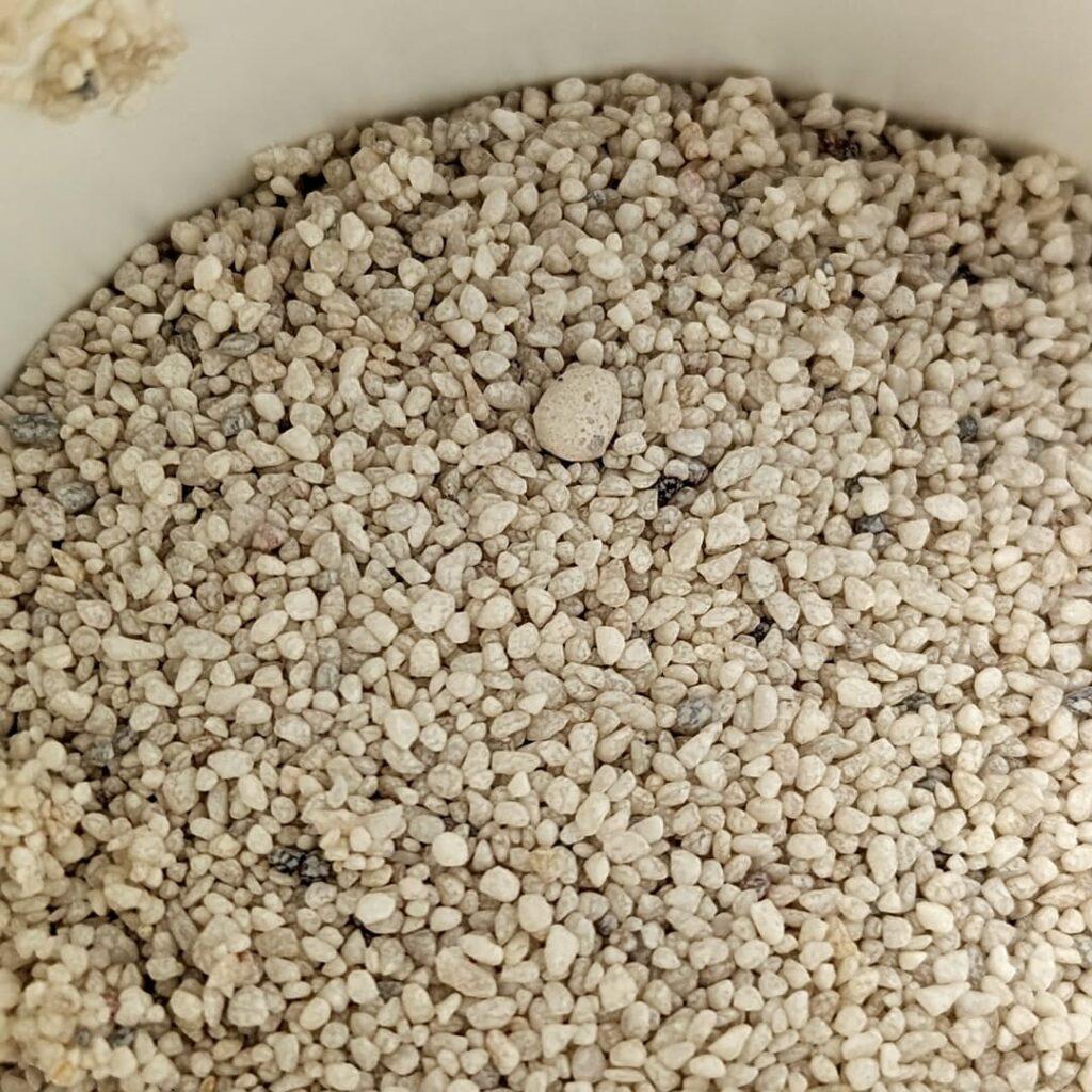 Photo produit répulsif anti-taupes en grain Lucifer