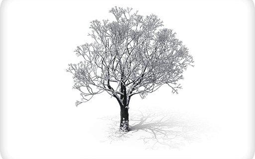 Saison Hiver Nuisibles