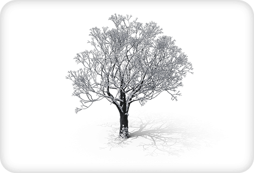 Saison Hiver Nuisibles