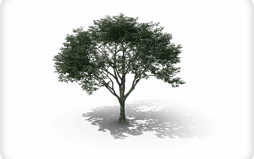 Saison Printemps Nuisibles