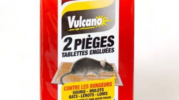Maison Aurouze-2-tablettes-engluees-Vulcano face