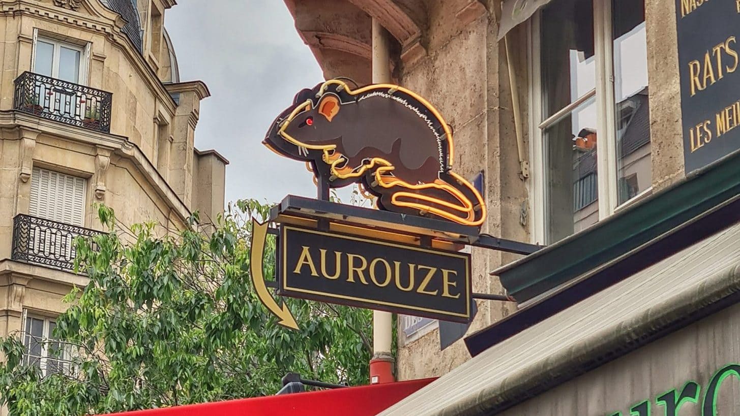 Maison Aurouze face au phénomène urbain des rongeurs depuis 1872