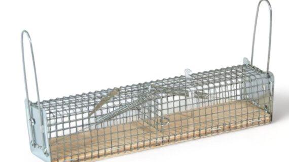 Maison Aurouze Cage à rat double entrée fermée