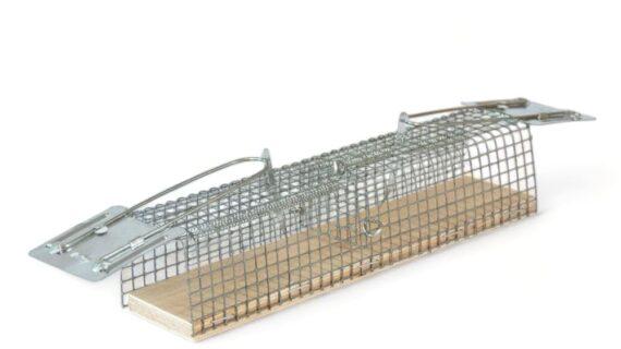 Maison Aurouze Cage à rat double entrée ouvert