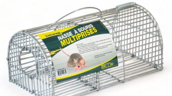 Maison Aurouze Nasse à souris multiprises