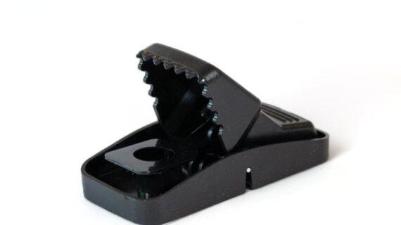 Maison Aurouze Tapette à souris plastique Catchmaster ouverte