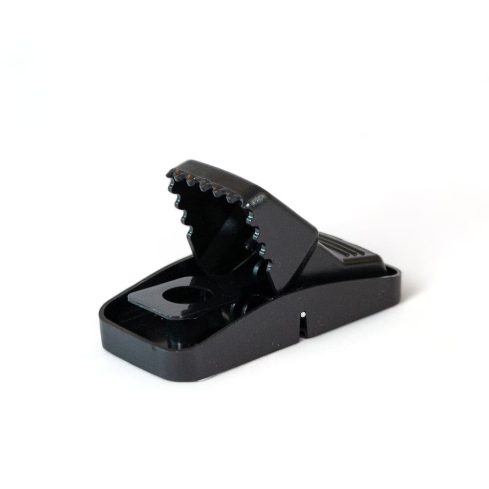 Maison Aurouze Tapette à souris plastique Catchmaster ouverte