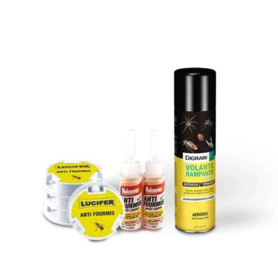 Pack Fourmis double action