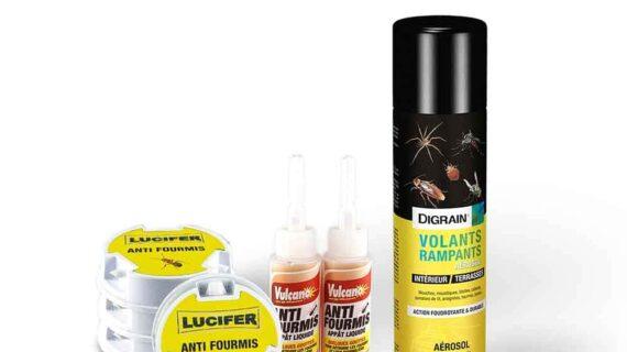 Pack Fourmis double action