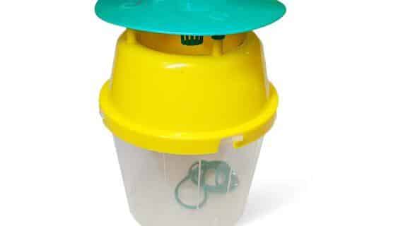 Piège à insectes