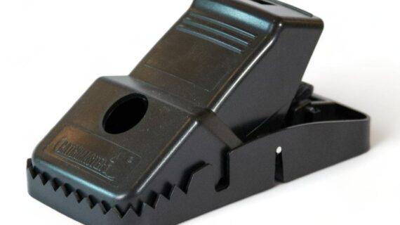 Tapette a rat plastique Catchmaster fermée
