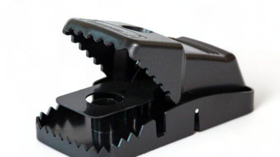 Tapette a rat plastique Catchmaster ouverte