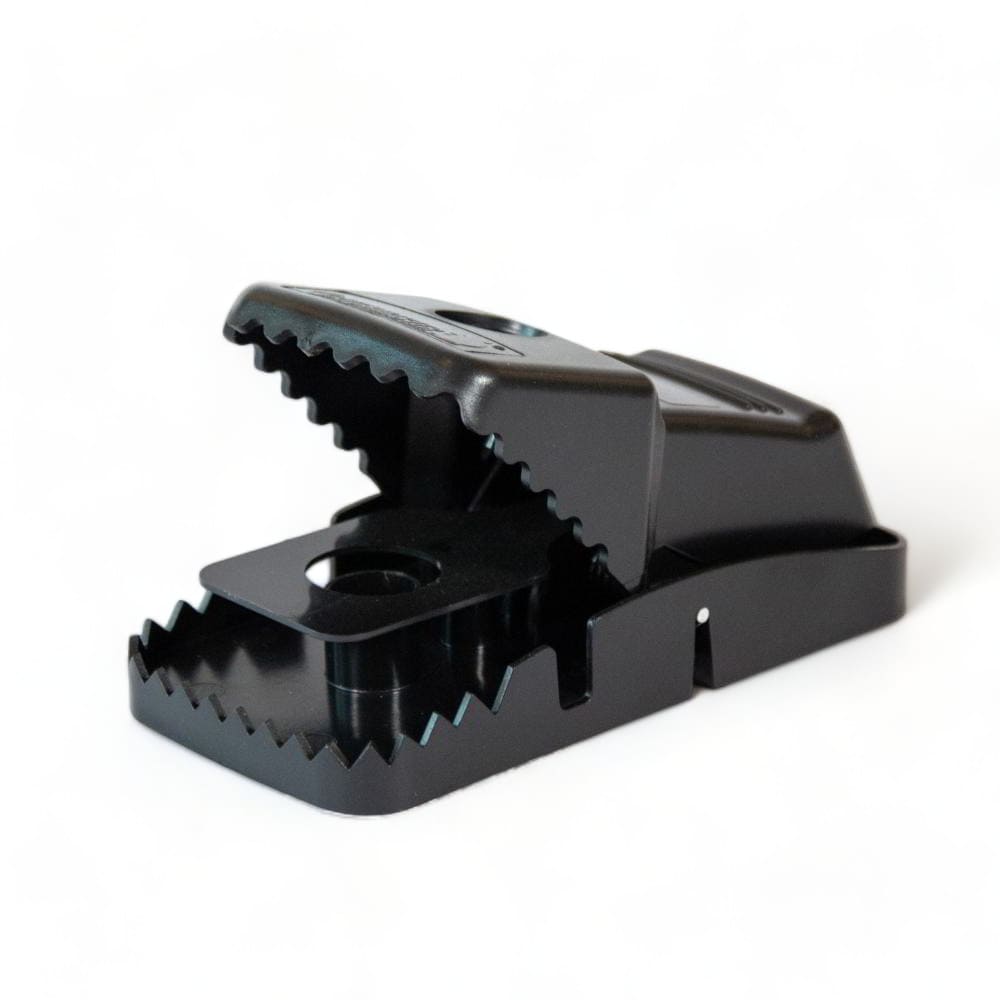 Tapette a rat plastique Catchmaster ouverte