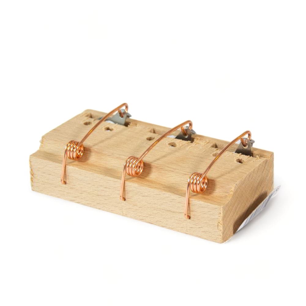 Maison Aurouze-Piège trois trous pour souris dos