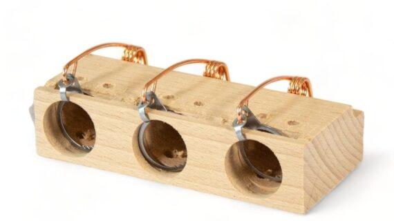 Maison Aurouze-Piège trois trous pour souris face